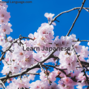 Learn Japanese