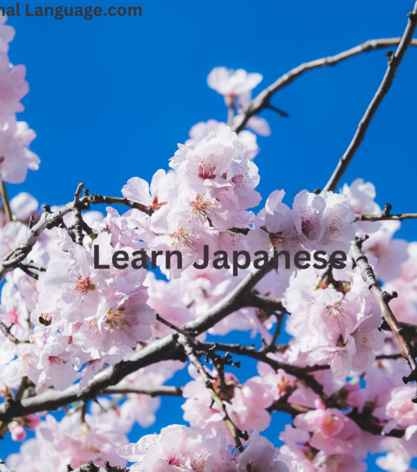 Learn Japanese: A Complete Guide for Beginners